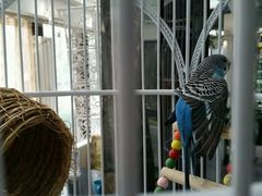 -蕴味秘密花园·西式烧烤主题餐厅