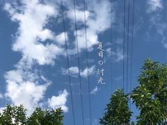 -长白岛森林公园