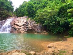 -广州白江湖森林公园