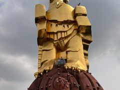 -大金鹰园