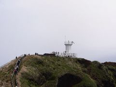 -涉地可支