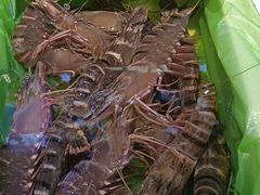 -三个渔夫·蒸汽海鲜(小白楼店)