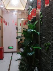 -芳朵美容养生SPA