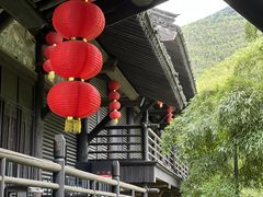 -大唐贡茶院