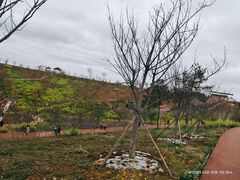 -绵阳盛世樱花悠乐谷