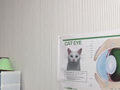 -守诺宠物医院·眼科· 神经外科·爬宠专科(虹口店)