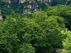 -北京密云天门山风景区