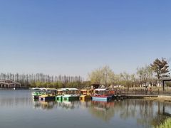 -上海长兴岛郊野公园