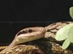-昆明动物园