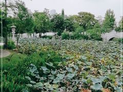 -惠州西湖丰渚园