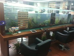 2个长长的鱼缸让我很惊叹！很有家的感觉。-小左美发