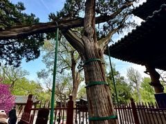 -晋祠博物馆