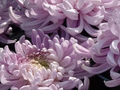 -黔蘑菇四季餐厅(观山湖店)