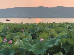 -湖畔居茶楼(湖滨店)