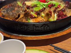 -老板恋上鱼(恒隆广场店)