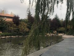 -芭东小镇温泉