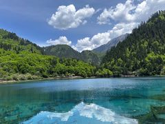 -西姆山居酒店(九寨沟沟口店)