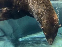 -福州罗源湾海洋世界旅游区