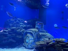-海合安武汉极地海洋公园