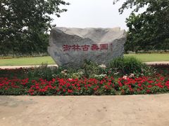 -御林古桑园