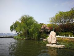 -金鸡湖桃花岛