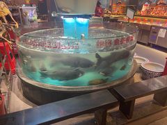 -魏铭鱼头捞饭(晋阳路店)