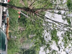 -野三坡刘家河高山漂流