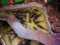 -春盛渔府(牛首山店)