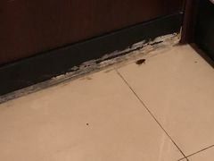 -大瀚养生SPA足道会馆(延长路店)