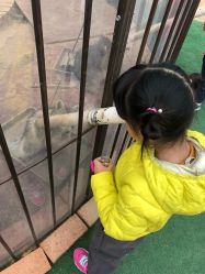 -萌宠亲子动物乐园(槐房万达店)