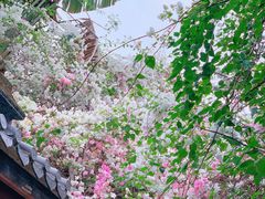 -深圳国际园林花卉博览园