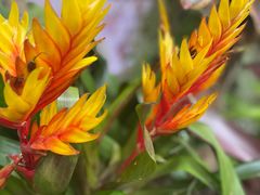 -徐家汇源景区-衡山公园