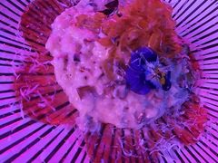 -SWAG無國界潮娱乐酒餐吧