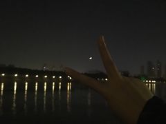 -桂萍特色牛筋牛杂(长堤街总店)