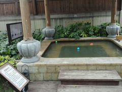 -思念果岭悦温泉