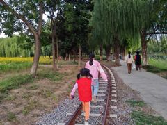 -祥源·阜阳生态乐园