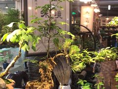 -双季花艺园艺市场(浦东店)