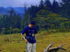 -硗碛藏寨·神木垒景区