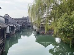 -乌镇西栅景区