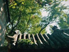 -浮来山风景区