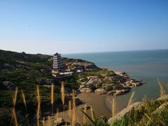 -洋山深水港