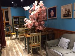 -星豆豆儿童摄影(南郊太白南路店)