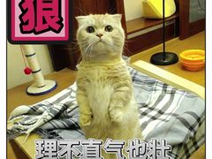 -亮亮面馆(经六路店)