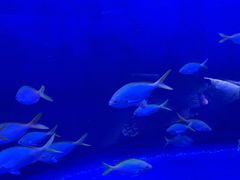 -沈阳海洋探索中心