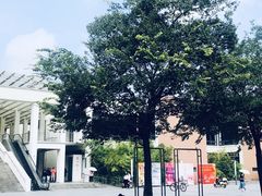 -上海海事大学(临港校区)