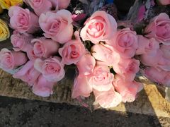 -三圣花乡旅游区