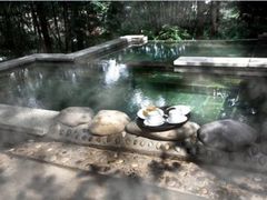 -花水湾第一村温泉大酒店