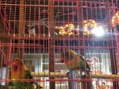 -花千代秘制烤鱼(新玛特店)