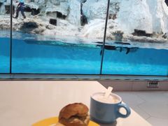 -帝企鹅自助餐厅•儿童岛•真企鹅(长隆企鹅酒店)