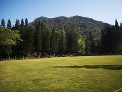 -深圳仙湖植物园